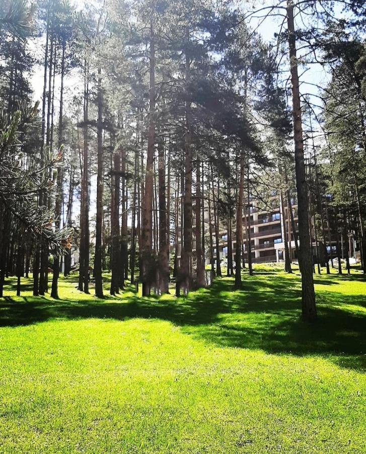 Panorama Lux Apartmani Vila Pekovic Zlatibor Luaran gambar